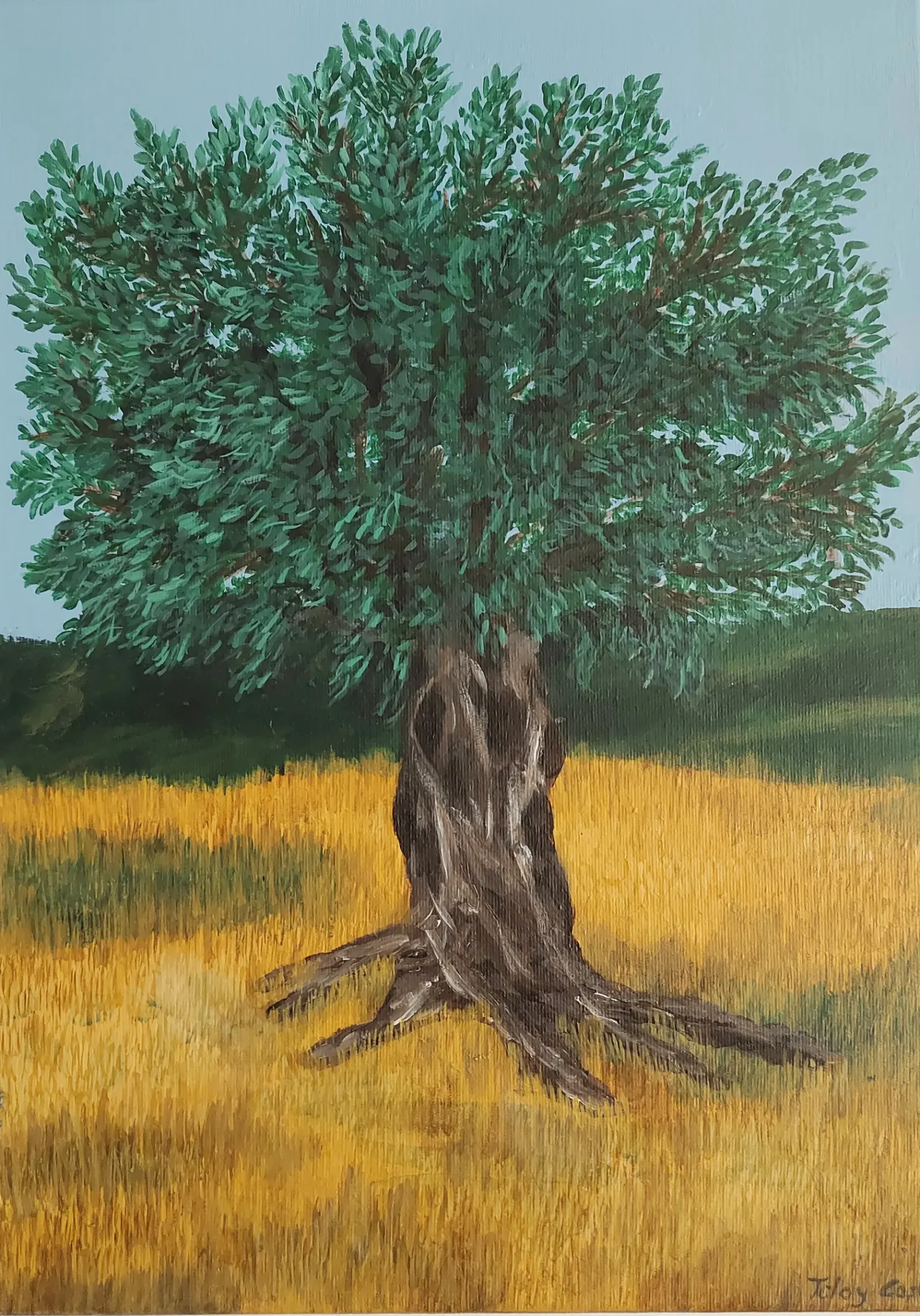 Zeytinağacı — 1. görsel